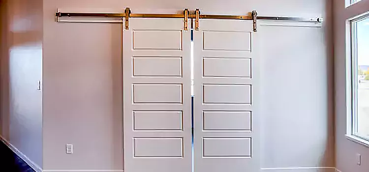 Glass Barn Door with Installation Hardware Kit Barstow